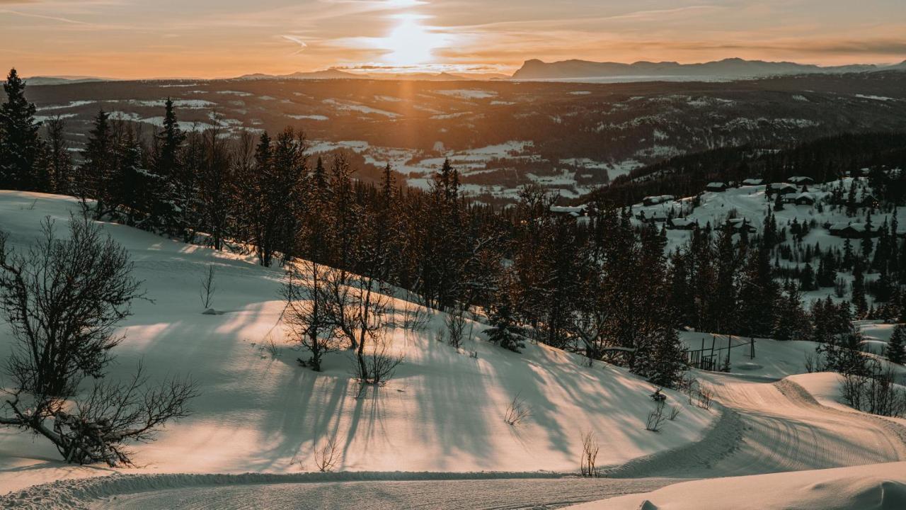 Danebu Kongsgaard - Boutique Hotel アウダール エクステリア 写真